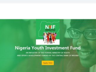 Nigeria Youth Investment Fund (NYIF)